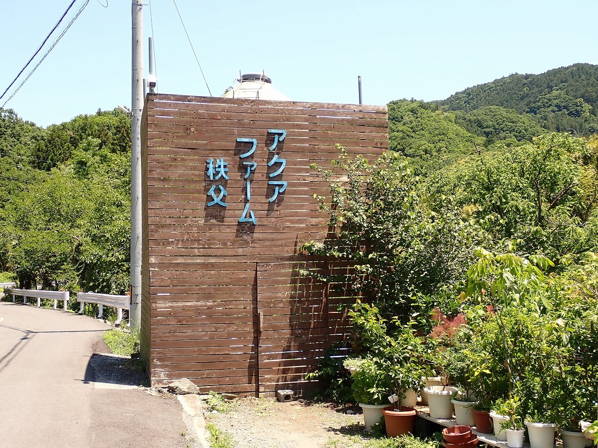 P6050104