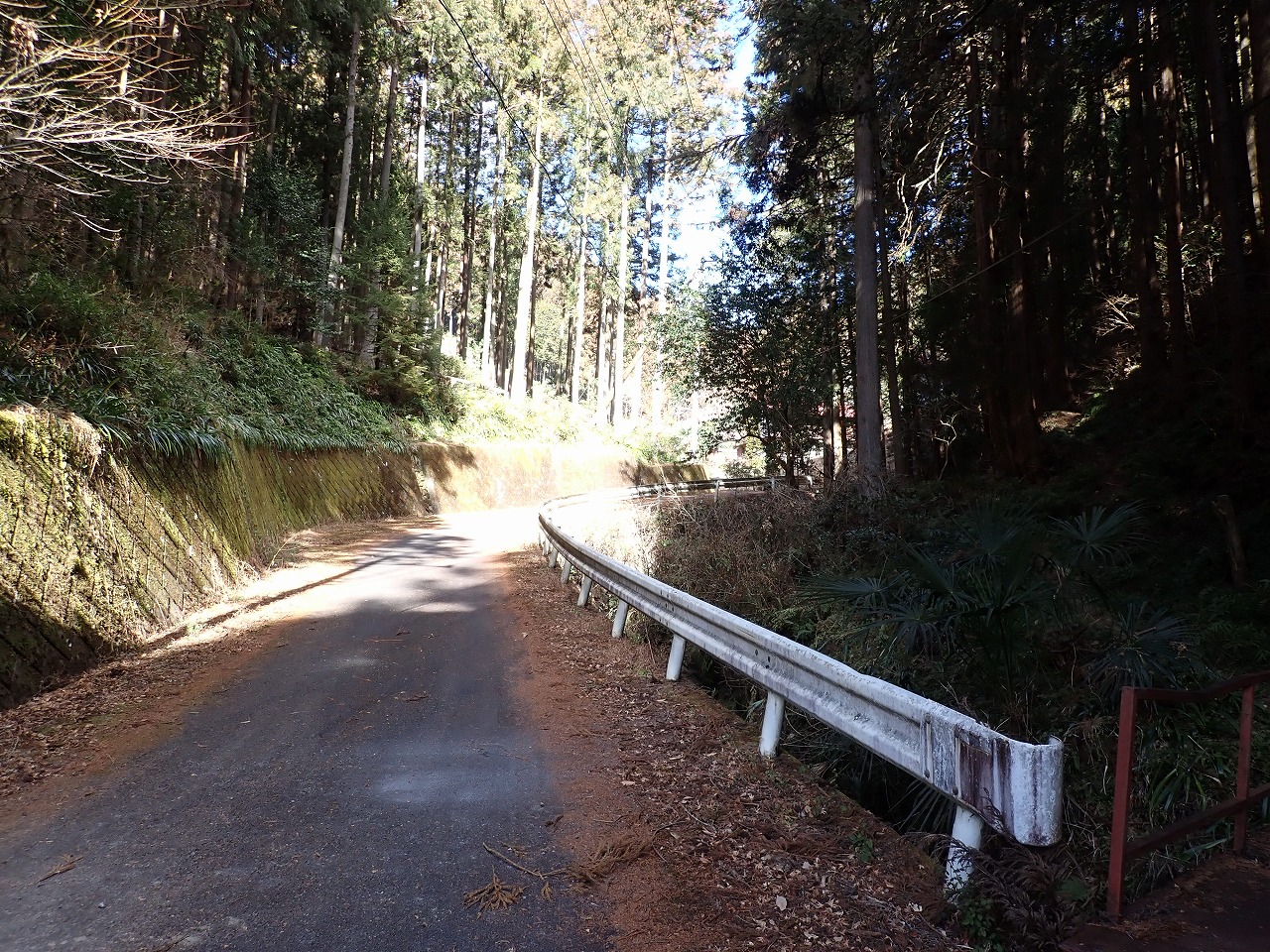 P1010088
