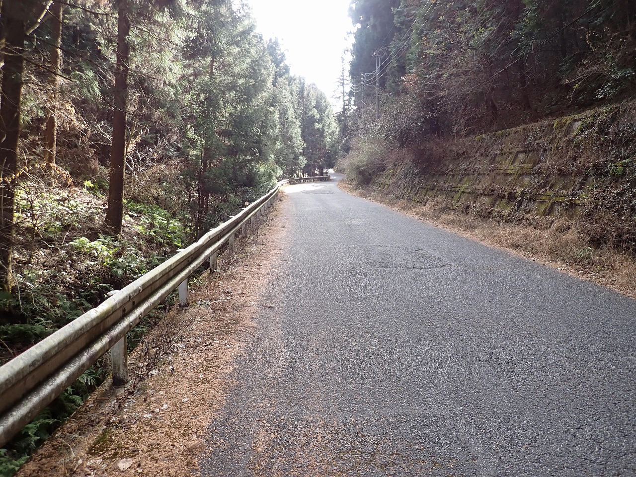 P1010095