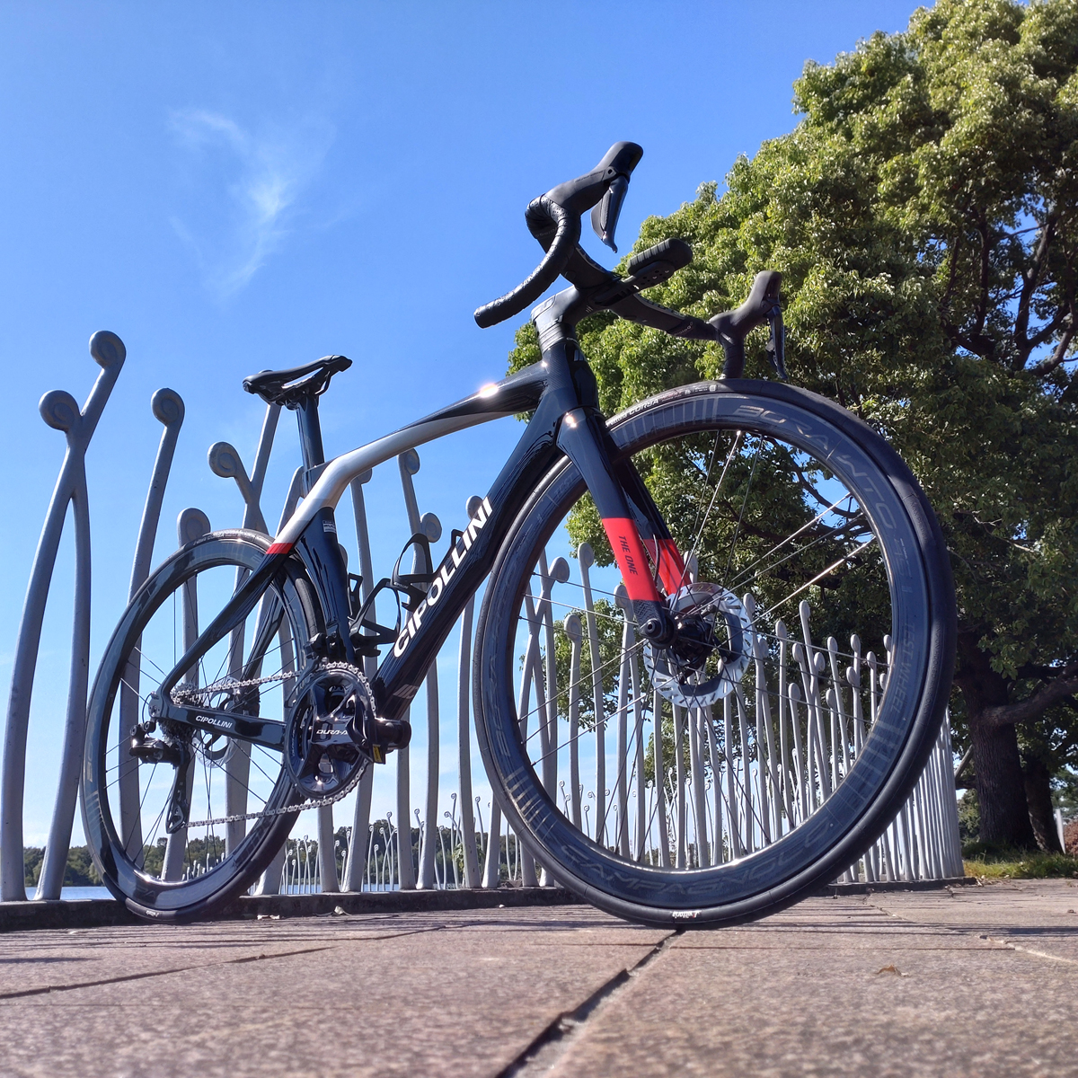 【CIPOLLINI】唯一無二 スプリンター向け RB1K THE ONE 最速インプレッション 試乗車完成 | 川崎で自転車をお探しならY's Road 川崎店