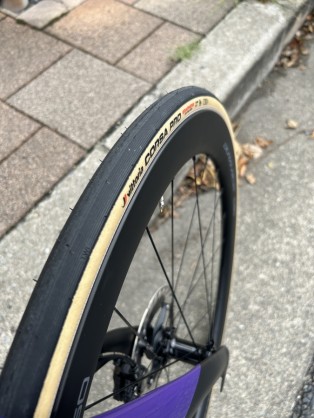 ビットリア