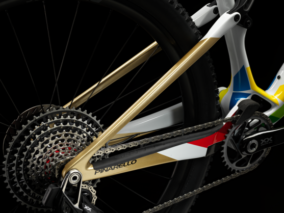 DOGMA XC