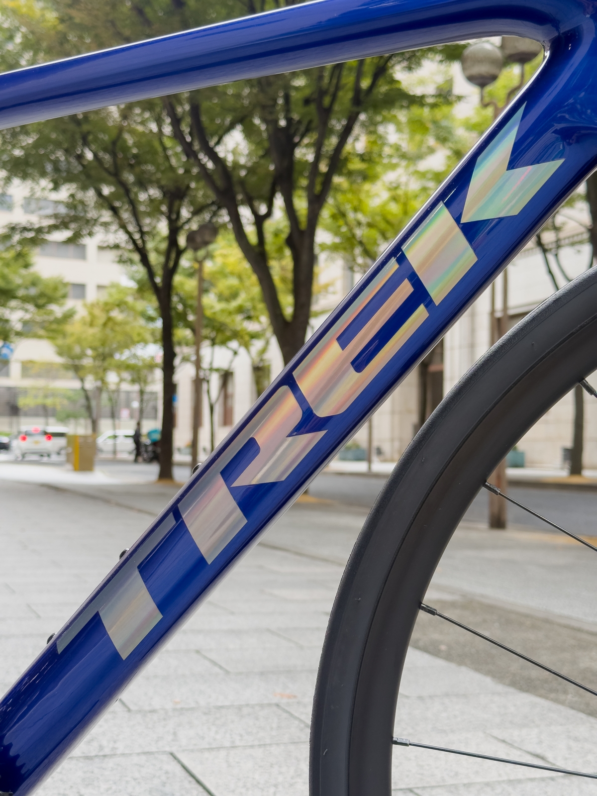 【TREK】一度は乗りたい憧れのMADONE！！ | 神戸で自転車をお探しならY's Road 神戸店