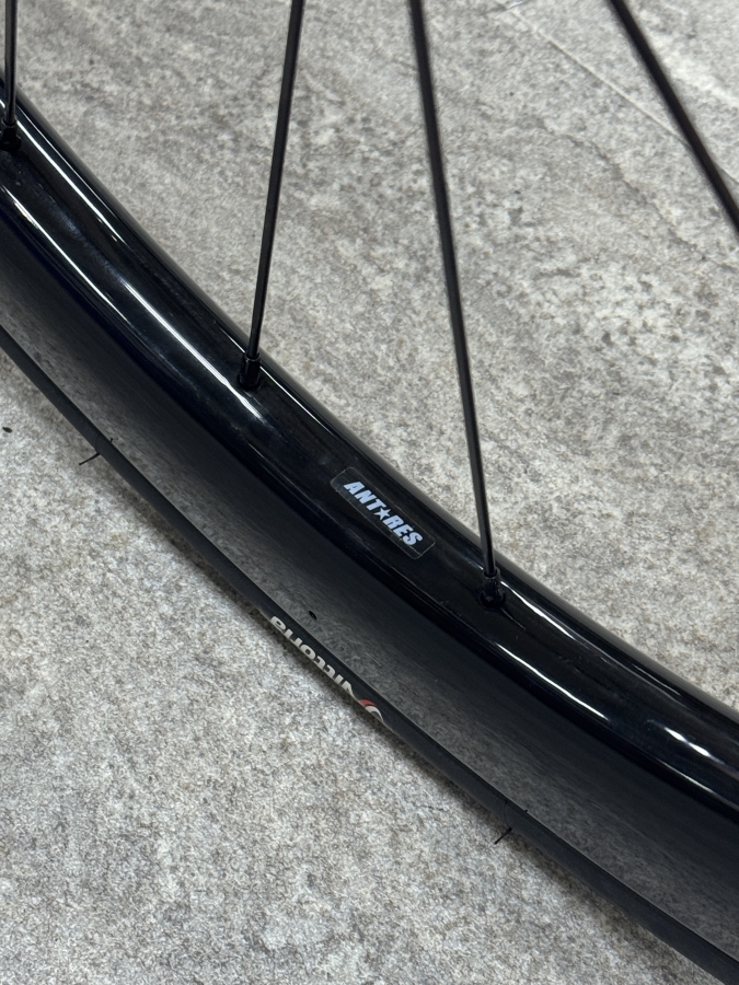 IMG_9867