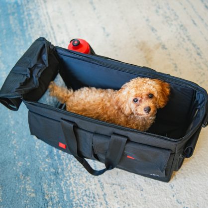 bropetCarrybag_image_002