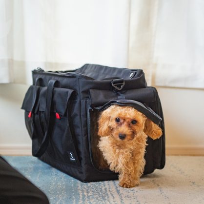 bropetCarrybag_image_003