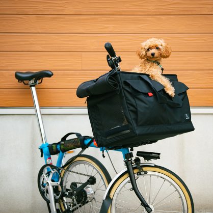bropetCarrybag_image_011