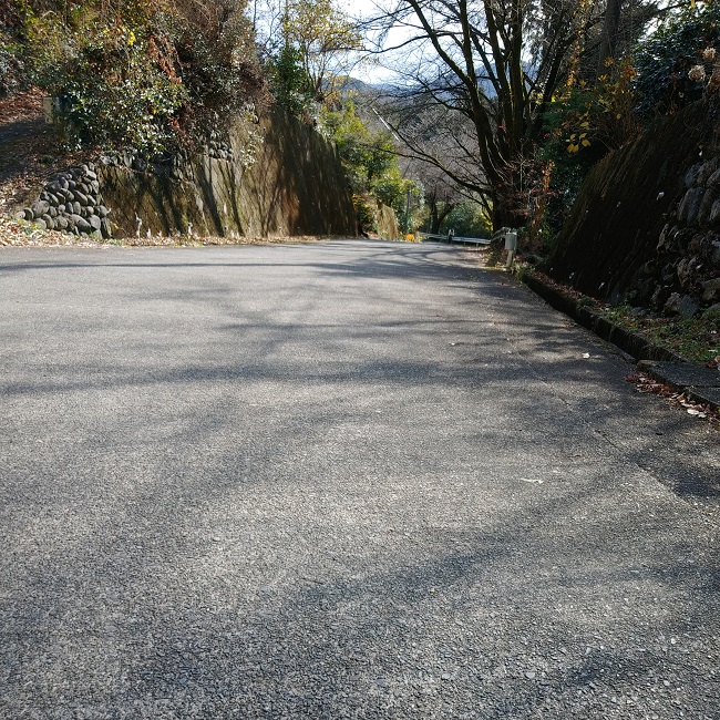 IMG01551