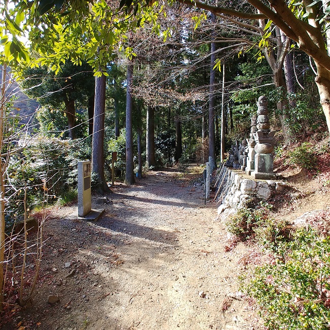 IMG01560