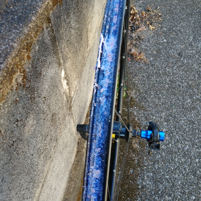 IMG01589