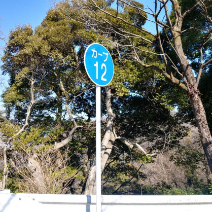 IMG01854_HDR