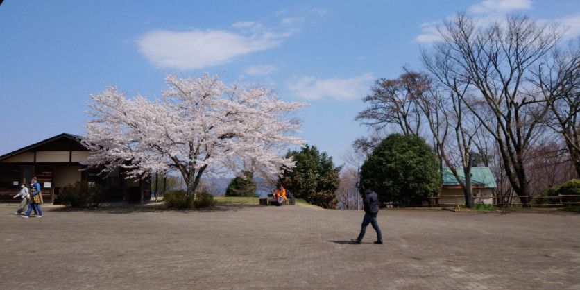 IMG00004(7)