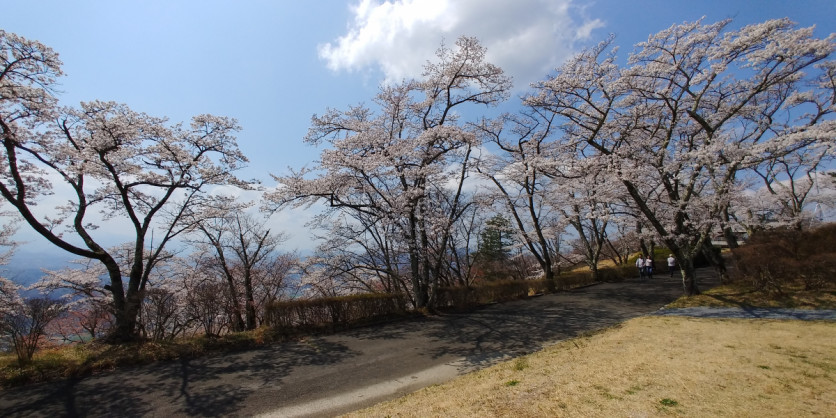 IMG00007(9)
