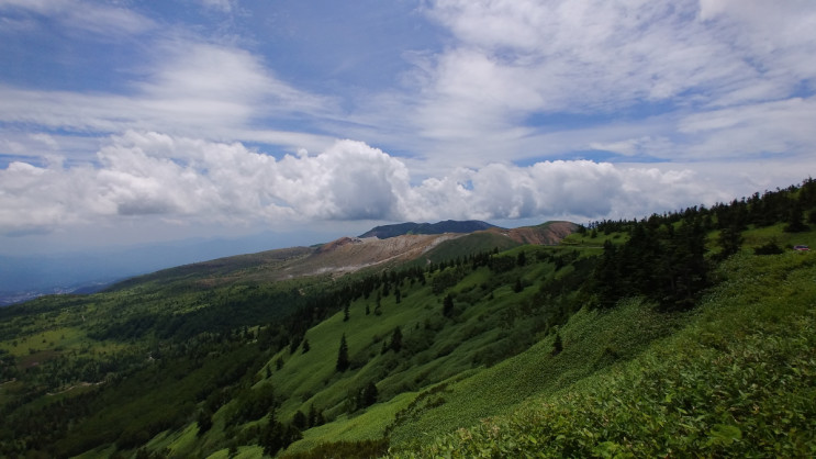 IMG00917
