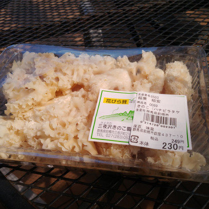 IMG02244_HDR