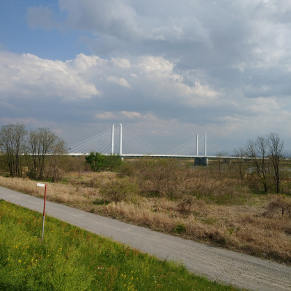 IMG02246