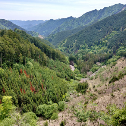 IMG02346_HDR