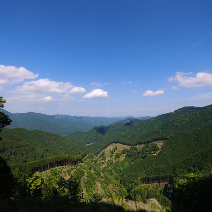 IMG02550