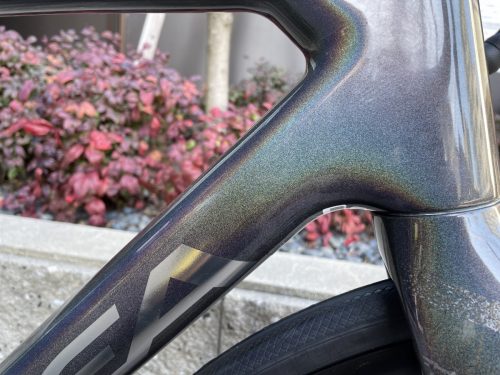 IMG_8399