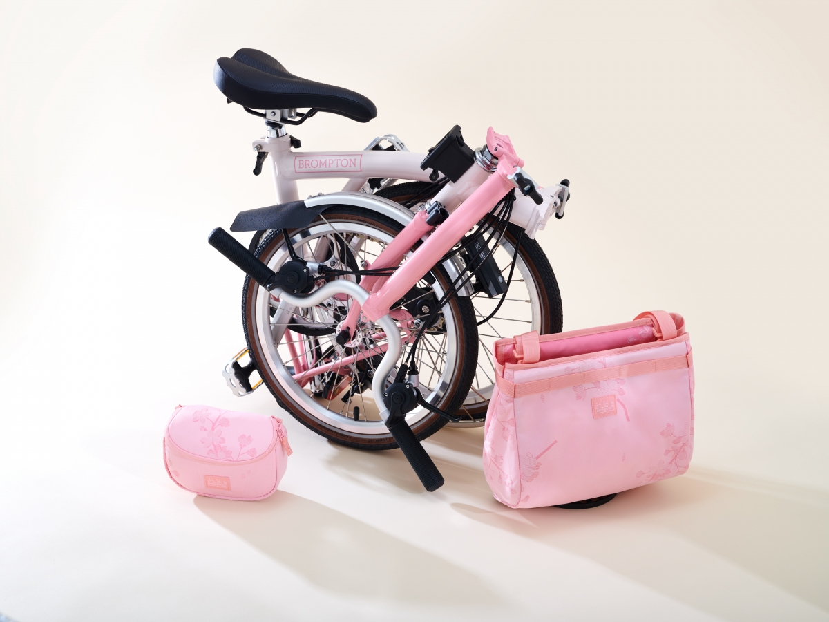 Cherry_Blossom_Still-life_02
