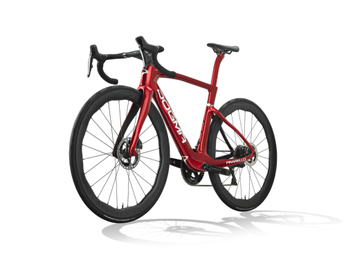 DOGMA F_Starry_Red_11