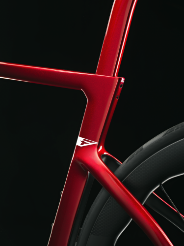 DOGMA F_Starry_Red_13