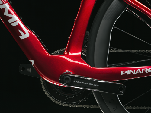 DOGMA F_Starry_Red_14
