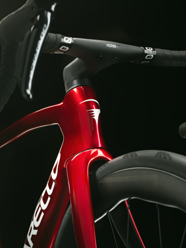 DOGMA F_Starry_Red_15