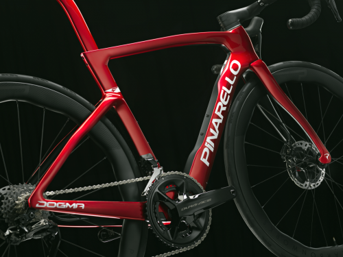 DOGMA F_Starry_Red_17