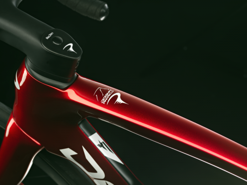 DOGMA F_Starry_Red_18