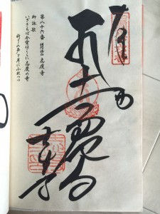 16072617