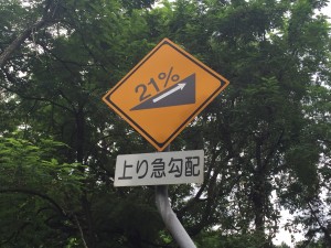 16072703