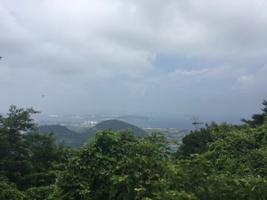 16080401