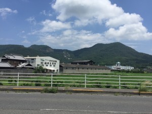 16080602