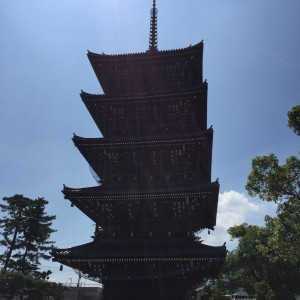 16081418