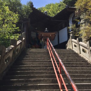 16082513