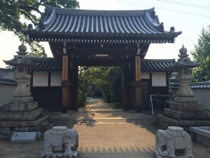 16091005