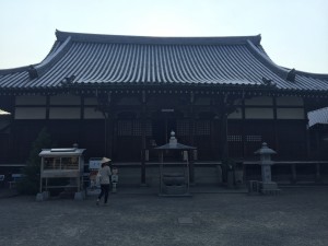16091008