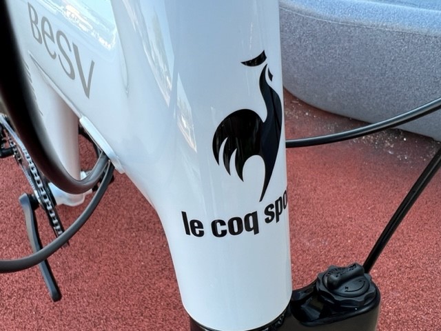 PSA1_lecoq_2