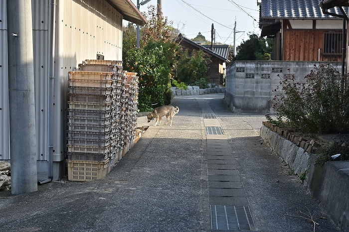 s-DSC_5145
