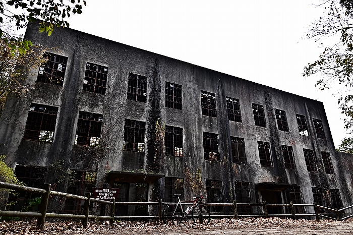 s-DSC_5242