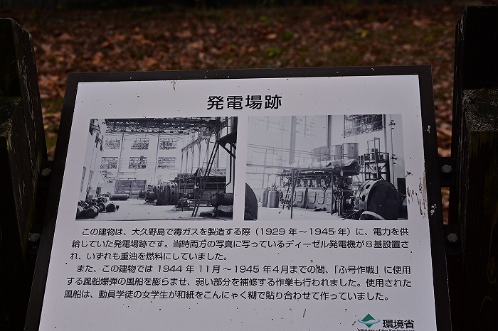 s-DSC_5248