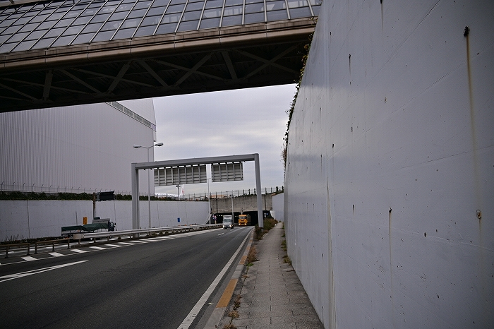 s-DSC_7039