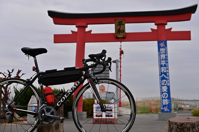 s-DSC_7049