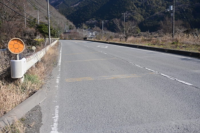 s-DSC_8206