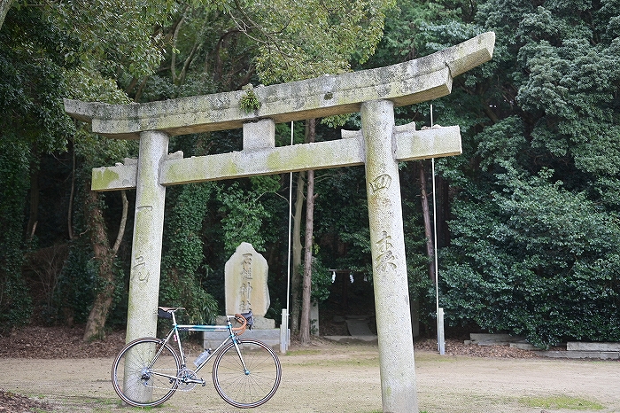 s-DSC_8282