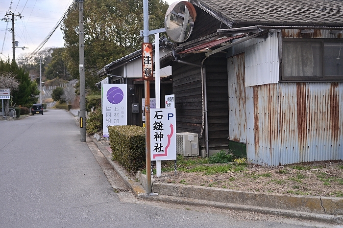 s-DSC_8291