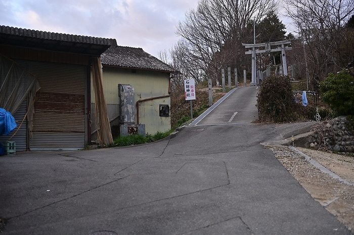 s-DSC_8295