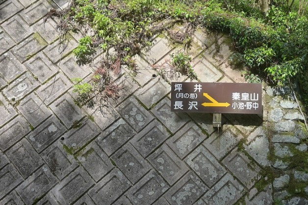 s-DSC_1607