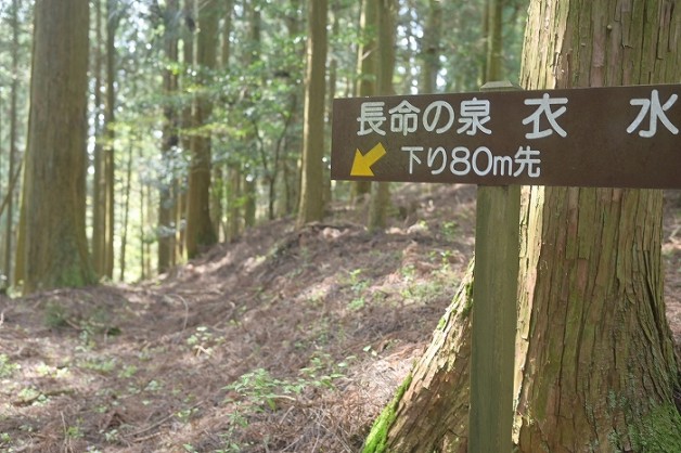s-DSC_1616